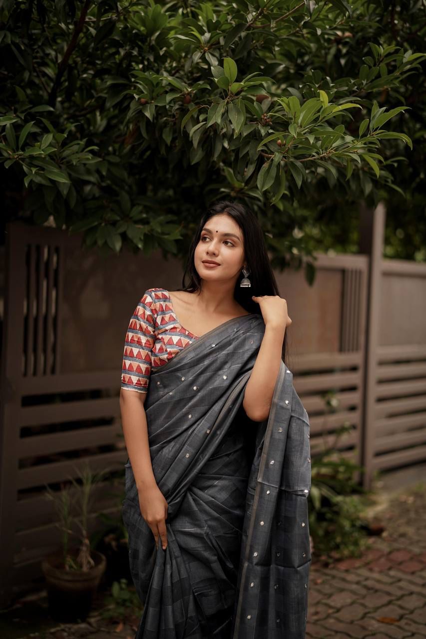 Linen Saree with Mirror Work & Fancy Blouse